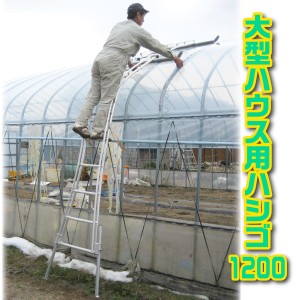 【法人限定】 ハウス用ハシゴ 温室 脚立 踏み台 足場 農家用 果樹園 温室栽培 ビニールがけ ハウス資材 アーチ型 天蓋補修 大型ハウス用 