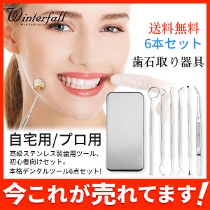 送料無料 歯石取り器具 6本セット ステンレス製 自宅用 デンタルツール 歯 ヤニ 歯垢 しこう取りスケーラー プロ用