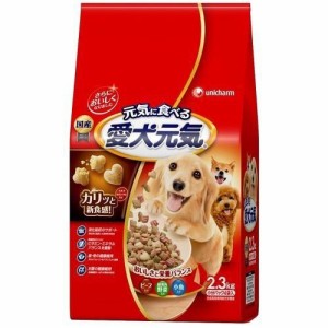 愛犬元気 全成長段階用 ビーフ・緑黄色野菜・小魚入り(2.3kg)【愛犬元気】 