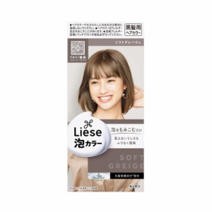 リーゼ 泡カラー ソフトグレージュ 本体 108ml ヘアカラー   ヘアケア 