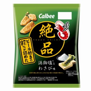 絶品かっぱえびせん 浜御塩とわさび味 60g × 12個 お菓子　せんべい　えびせんべい　スナック菓子 駄菓子 