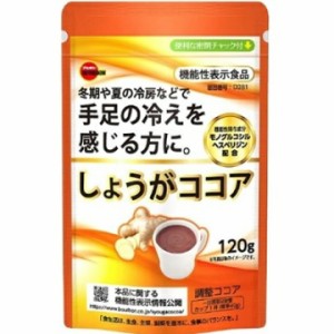 ブルボン しょうがココア 120g  生姜 調整ココア インスタント