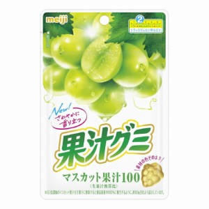 明治 果汁グミ マスカット(54g) × 10個 グミ お菓子 meiji