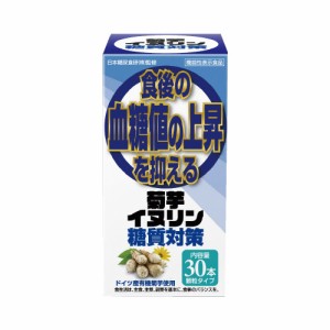 菊芋イヌリン「糖質対策」30包  顆粒タイプ