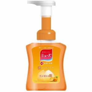 ミューズ 泡ハンドソープ フルーティフレッシュ 本体(250ml) 殺菌  消毒