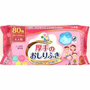 大一紙工 大人用おしりふき厚手（流せないタイプ） 80枚 日本製 無香料 ノンアルコール パラベン無配合 厚手 不織布 ウエットティッシュ 