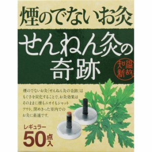 せんねん灸の奇跡 煙の出ないお灸 レギュラー 50点入 肩こり 血行促進