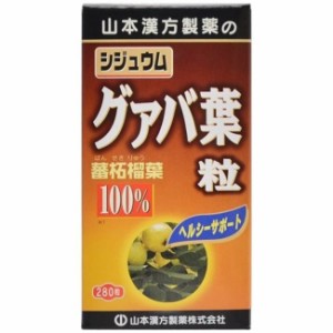 グァバ葉粒100% 280粒  健康維持  グアバ サプリメント