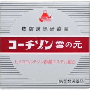 【 指定第2類医薬品 】 コーチゾン雪の元 6g アレルギー性皮膚炎 疱疹状皮膚炎 あかぎれ かゆみ止め くさ しっしん しもやけ ひび 凍傷 