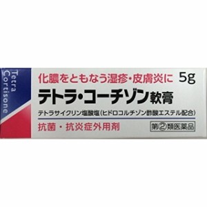 【指定第2類医薬品】テトラ・コーチゾン軟膏5g 塗布剤 湿疹 皮膚炎 あせも かぶれ しもやけ 虫さされ じんましん 