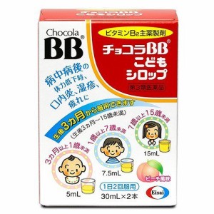 【 第3類医薬品 】 エーザイ チョコラBB こどもシロップ 30ml×2本 ワタナベオイスター  渡辺オイスター   天眼  漢方相談店