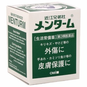 【 第3類医薬品 】 近江兄弟社 メンターム(40g) 傷、手あれ、カミソリ負け、虫さされなど 