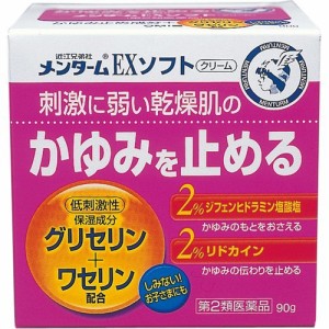 【 第2類医薬品 】 メンタームEXソフト 90g 