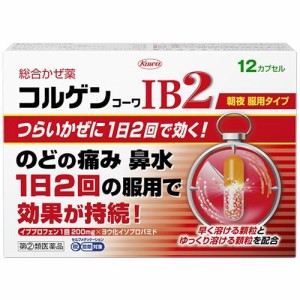 【指定第2類医薬品】コルゲンコーワIB2 （12カプセル入り） 風邪薬 熱の風邪