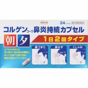 【指定第2類医薬品】コルゲンコーワ鼻炎持続カプセル 24カプセル 鼻炎  くしゃみ  鼻水