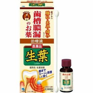 【 第3類医薬品 】 《小林製薬》 生葉液薬 20g (歯科口腔用薬) 