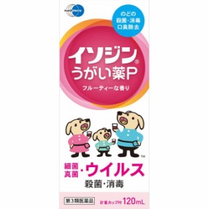 【 第3類医薬品 】 イソジンうがい薬P 120mL  がい薬 殺菌 消毒 洗浄 口臭の除去