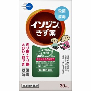 【 第3類医薬品 】 イソジンきず薬 30mL  きり傷 さし傷 すりむき傷 靴ずれ やけど 殺菌 消毒