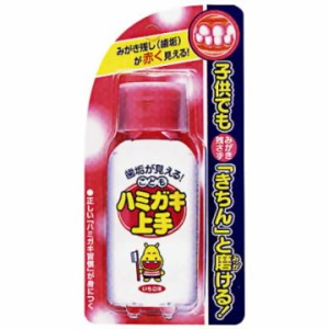 こどもハミガキ上手 いちご味 69ml こども用歯磨き粉 歯磨き  オーラルケア