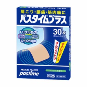 【第3類医薬品】祐徳薬品 パスタイムプラス 30枚入り × 10個 肩こり 腰痛 筋肉痛