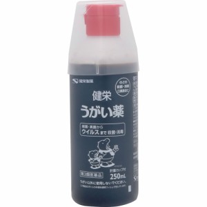 【 第3類医薬品 】 健栄うがい薬 250mL うがい薬　のどの殺菌　消毒　口臭