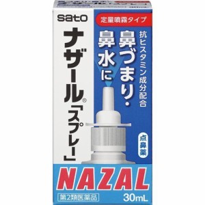 【 第2類医薬品 】 ナザールスプレーポンプ３０ｍｌ 