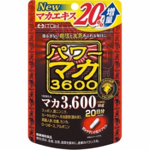 【井藤漢方製薬】パワーマカ3600 40粒(20日分) すっぽん 黒にんにく ローヤルゼリー 冬虫夏草 高麗人参 牡蠣