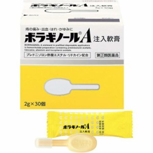 【指定第2類医薬品】ボラギノールA注入軟膏 2gx30個入 外用薬　痔