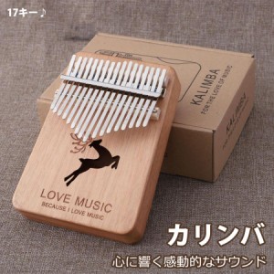 カリンバ ゆびピアノ Kalimba 操作簡単 初心者向け 初心者 子供用 ピアノ サムピアノ キッズ　ギフト 新年 クリスマスプレゼント　送料無