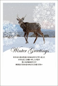 ★寒中見舞い★《私製はがき 8枚》寒中見舞いはがき デザインタイプ 年賀状返信 グリーティング 季節のあいさつ