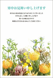 ★寒中見舞い★《私製はがき 8枚》寒中見舞いはがき デザインタイプ 年賀状返信 グリーティング 季節のあいさつ