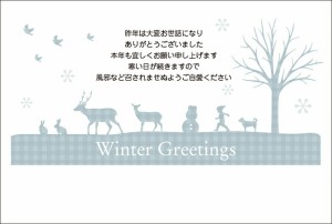 ★送料無料 寒中見舞い★《お手軽私製はがき 8枚》寒中見舞いはがき 寒中見舞い 寒中 はがき デザインタイプ 年賀状 年賀状返信 グリーテ