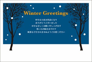 ★送料無料 寒中見舞い★《お手軽私製はがき 8枚》寒中見舞いはがき 寒中見舞い 寒中 はがき デザインタイプ 年賀状 年賀状返信 グリーテ