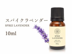 スパイクラベンダー エッセンシャルオイル 10ml入り ラベンダースピカ 癒し・安定 Spike Lavender 100%Natural スパイクラベンダー精油 