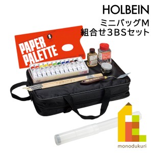 ホルベイン 油絵具 ミニバッグ Ｍ 組合せ3ＢＳセット 130151