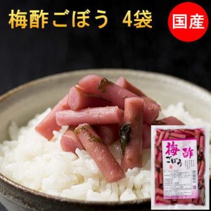 梅酢ごぼう ごはんのおとも ポイント消化   国産 漬物 4袋セット 送料無料 宮崎産 ご飯のお供 常備菜 漬け物 メール 便 ギフト プチギフ