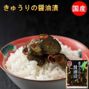 国産 漬物 きゅうりの醤油漬け 100g×20袋 送料無料 無添加 ピリ辛きゅうり 漬け物 常備菜 宮崎県産 キュウリ 梅酢ごぼう 2種類から選べ