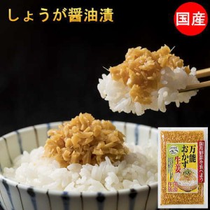 万能おかず生姜 ごはんのおとも ポイント消化 しょうが醤油漬け 国産 130g×10袋 きざみしょうが 送料無料  ショウガ 漬物 万能調味料 ふ