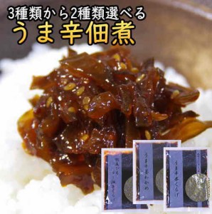 うま辛佃煮 ごはんのおとも ポイント消化（つくだ煮）200gｘ2袋 送料無料 うま辛茎わかめ グルメ食品 お試しセット お茶漬け 国産 佃煮 