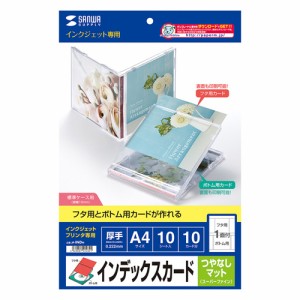 サンワサプライ インクジェット用インデックスカード A4 JP-INDN メーカー在庫品