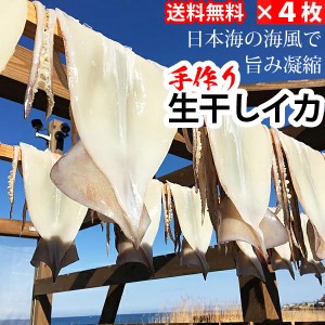 赤羽屋磯辺商店 青森の味！【産直 冷凍】真空冷凍 生干しイカ 特大（200g以上） 4枚(4582390700082 ×4) 特産品