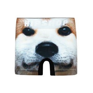 HIPSHOP/ヒップショップ AKITAINU/秋田犬　アンダーパンツ　キッズ  子供用 130/150 HD4244A101 ボクサーパンツ