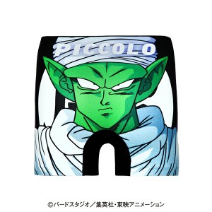 ＜ドラゴンボールZ＞PICCOLO/ピッコロ アンダーパンツ　キッズ 110/130 HD8244A141-1BF／HIPSHOP/ヒップショップ  ボクサーパンツ