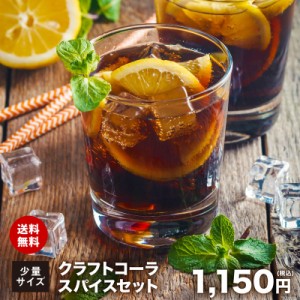 クラフトコーラ 少量スパイスセット  送料無料 チャック付袋入り スパイス シナモン ジンジャー ブラックペッパー カルダモン クローブ 