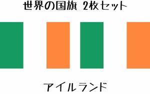 アイルランド 国旗 水無しで貼れる タトゥーシール シール フェイスシール フェイスペイント スポーツ フェス イベント 顔 観戦 オリンピ