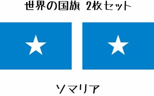 ソマリア 国旗 水無しで貼れる タトゥーシール シール フェイスシール フェイスペイント スポーツ サッカー フェス イベント 顔 観戦 オ