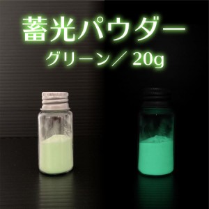 pigment 2 蓄光 顔料 20g グリーン 緑 パウダー 自由研究 手芸 自作 ハンドメイド アクセサリー プラモデル 工作 レジン 【メール便送料