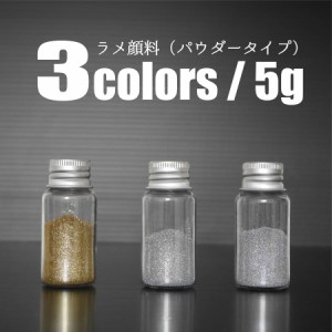 pigment 6 ラメ 顔料 5g ゴールド シルバー ホログラム 金 銀 パウダー 自由研究 手芸 自作 ハンドメイド アクセサリー プラモデル 工作 