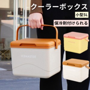 クーラーボックス 小型 ミニクーラーボックス 釣り キャンプ 5L 蓋の裏に保冷剤を付けられる 釣り BBQ キャンプ 部活 軽量 運び便利 