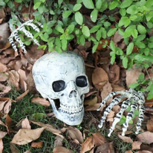 ハロウィン 骸骨 飾り 怖い ドクロ スケルトン 模型 モデル 人体 骨格 頭蓋骨 プラスチック ホラー 幽霊シミュレーション リアル 雰囲気